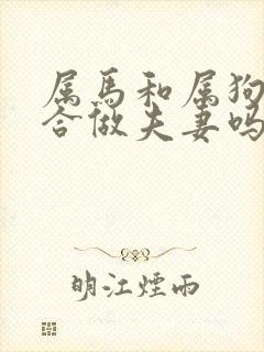 属马和属狗的适合做夫妻吗