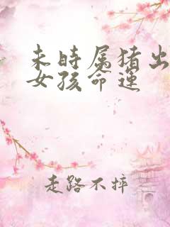 未时属猪出生的女孩命运