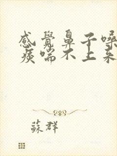 感觉鼻子嗓子有痰喘不上来气