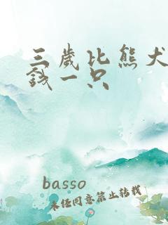 三岁比熊犬多少钱一只