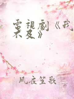 电视剧《我怕来不及》