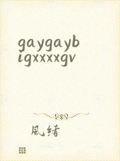 gaygaybigxxxxgv