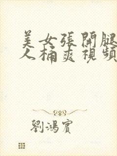 美女张开腿让男人桶爽视频