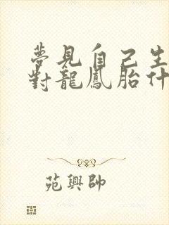 梦见自己生了一对龙凤胎什么意思