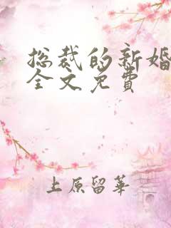 总裁的新婚罪妻全文免费