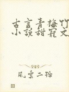 古言青梅竹马的小说甜宠文