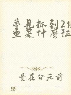 梦见抓到2条大鱼是什么征兆