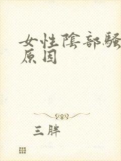 女性阴部骚痒的原因