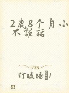 2岁8个月小孩不说话