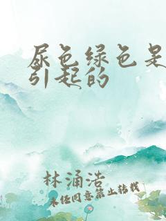 尿色绿色是原因引起的