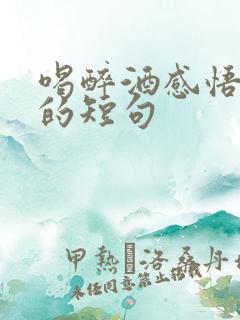 喝醉酒感悟人生的短句