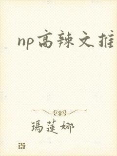 np高辣文推荐