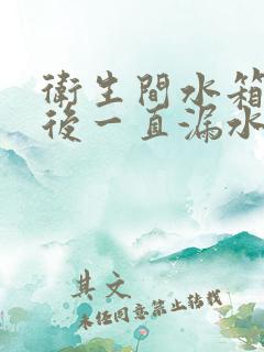 卫生间水箱冲水后一直漏水怎么处理