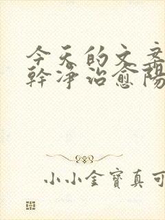 今天的文案短句干净治愈阳光