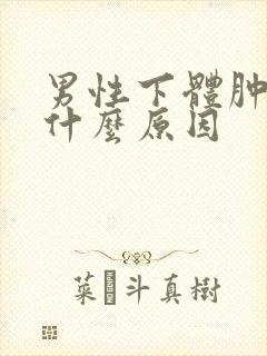 男性下体肿了是什么原因