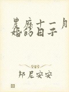 农历十一月宜结婚的日子