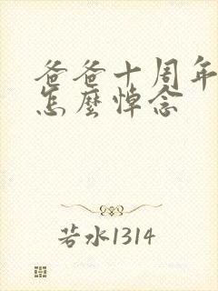 爸爸十周年忌日怎么悼念