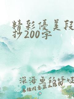 精彩优美段落摘抄200字