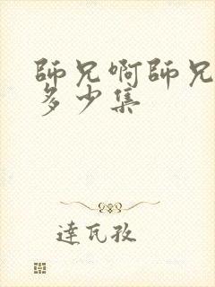 师兄啊师兄共有多少集