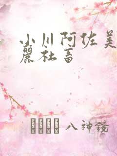 小川阿佐美之美丽社畜