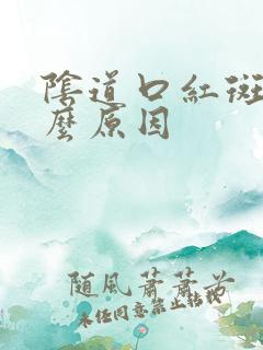 阴道口红斑是什么原因