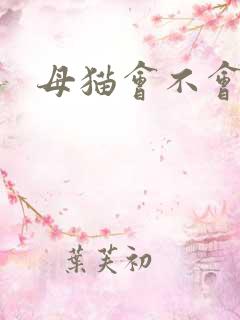 母猫会不会尿闭