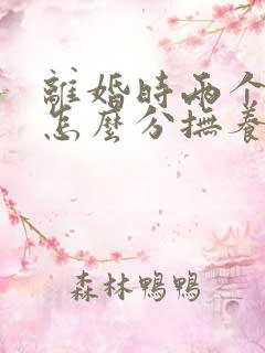 离婚时两个孩子怎么分抚养权