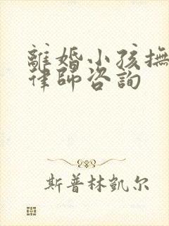 离婚小孩抚养权律师咨询