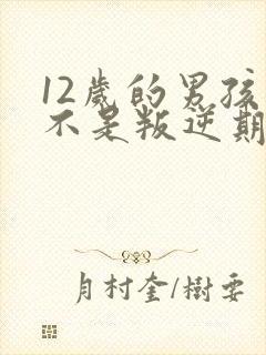 12岁的男孩是不是叛逆期