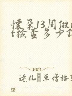 怀孕13周做nt检查多少钱