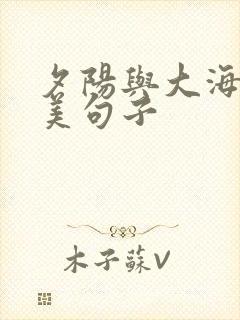 夕阳与大海的唯美句子