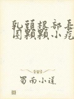 乳头根部长了一圈颗颗小疙瘩