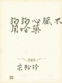 狗狗心脏不好喘用啥药