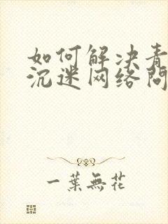 如何解决青少年沉迷网络问题