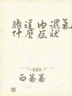 肠道内湿气重是什么症状