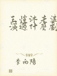 王恺沐老婆陈静演过什么剧