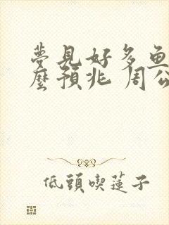 梦见好多鱼是什么预兆 周公解梦