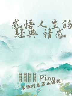 感悟人生的句子 经典 情感