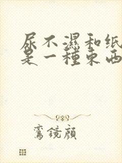 尿不湿和纸尿裤是一种东西吗