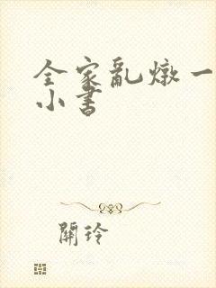 全家乱炖一锅烩小书