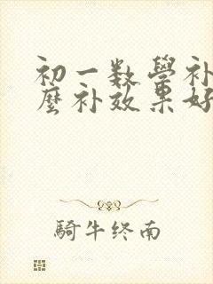 初一数学补课怎么补效果好