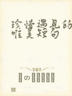 珍惜遇见的句子唯美短句