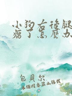 小狗右后腿突然瘸了怎么办