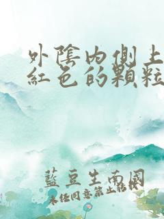 外阴内侧上长了红色的颗粒