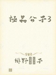 极品公子3