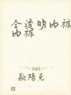 全透明内裤男士内裤