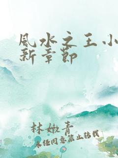 风水之王小说最新章节