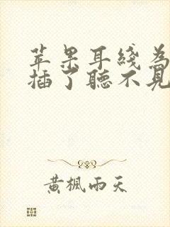 苹果耳线为什么插了听不见声音