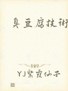 臭豆腐技术哪好