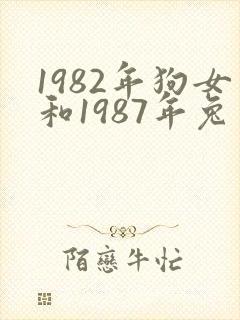 1982年狗女和1987年兔男婚姻会怎样